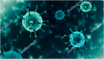 Graphical depiction of Corona Virus (COVID 19).